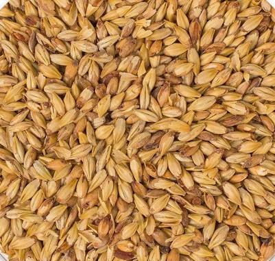 Malt - Specialty Malts