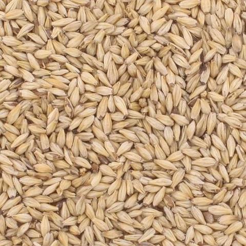 Malt - Specialty Malts
