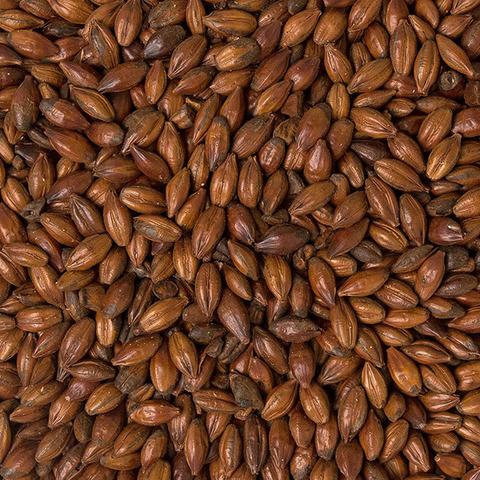 Malt - Specialty Malts