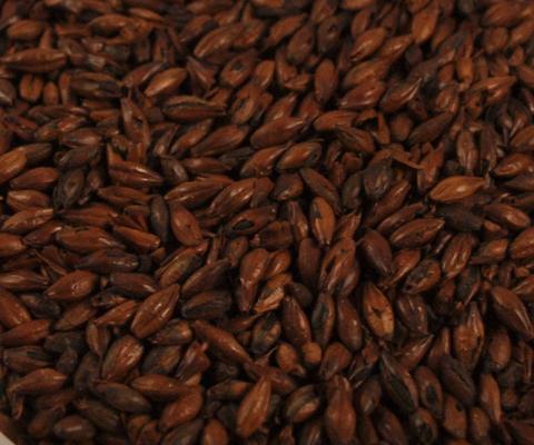 Malt - Specialty Malts