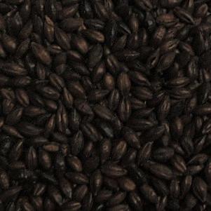 Malt - Specialty Malts