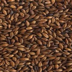 Malt - Specialty Malts