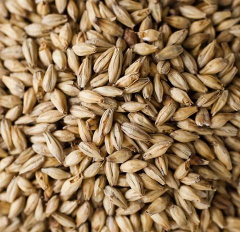 Malt - Specialty Malts