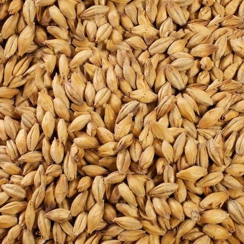 Malt - Specialty Malts