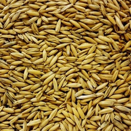 Malt - Specialty Malts