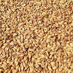 Malt - Specialty Malts
