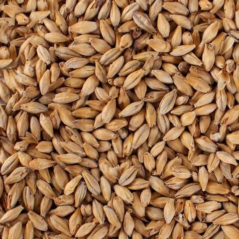 Malt - Base Malts