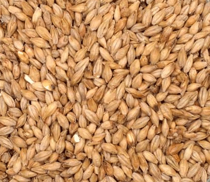 Malt - Summer Pale Malt, Horton Ridge Local Organic