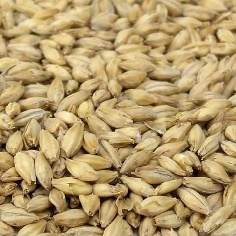 Malt - Base Malts