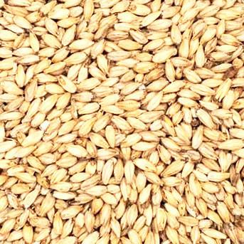 Malt - Base Malts