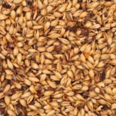 Malt - Specialty Malts