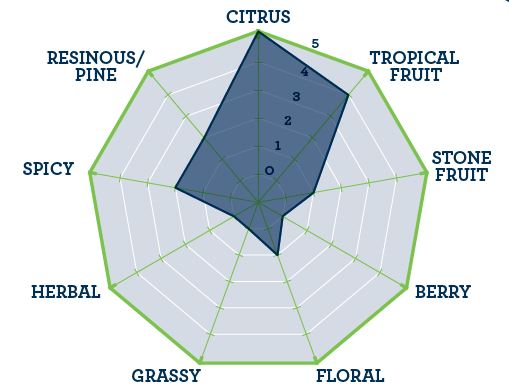 Hops - BSG Citra Pellets