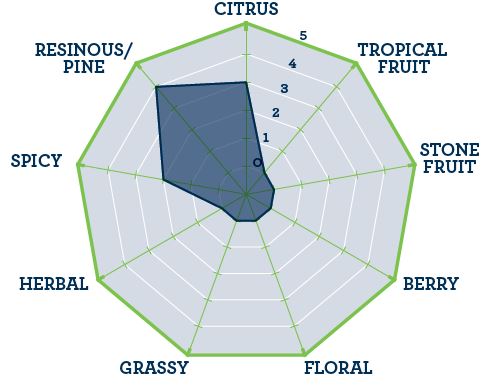 Hops - BSG Cluster Pellets