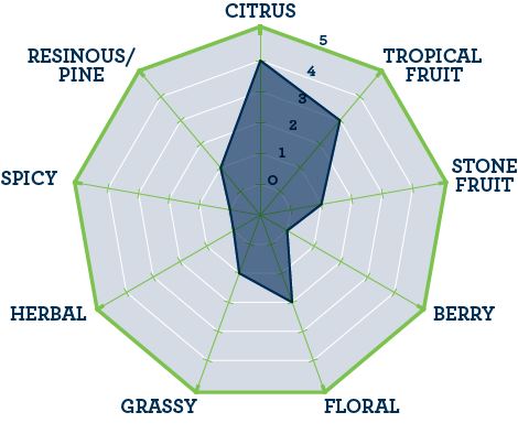 Hops - BSG Galaxy Pellets