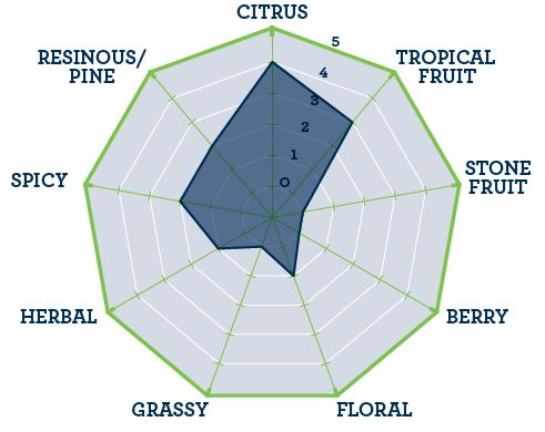 Hops - BSG Mandarina Bavaria Pellets