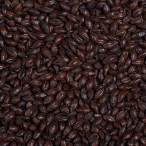Malt - Black
