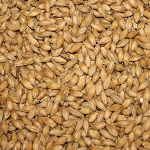 Malt - Specialty Malts