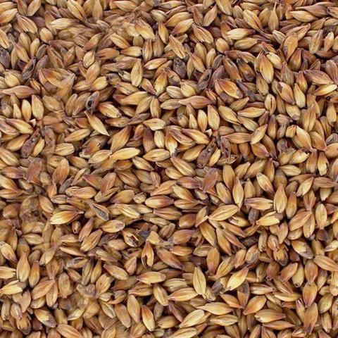 Malt - Specialty Malts