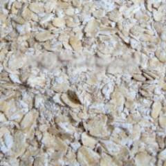 Malt - Adjuncts & Rice Hulls