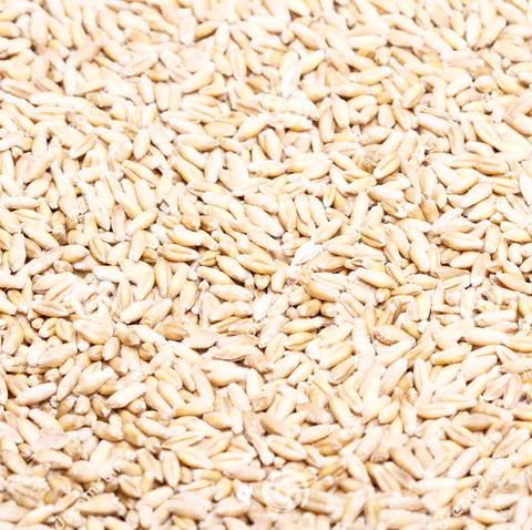 Malt - Raw Wheat