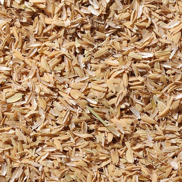 Malt - Adjuncts & Rice Hulls