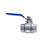 Grainfather -  SF70 Yeast Dump Valve